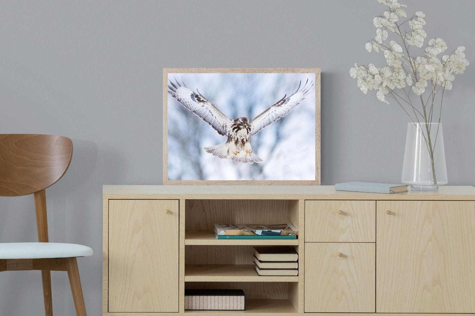 Jackal Buzzard-Wall_Art-60 x 45cm-Mounted Canvas-Wood-Pixalot