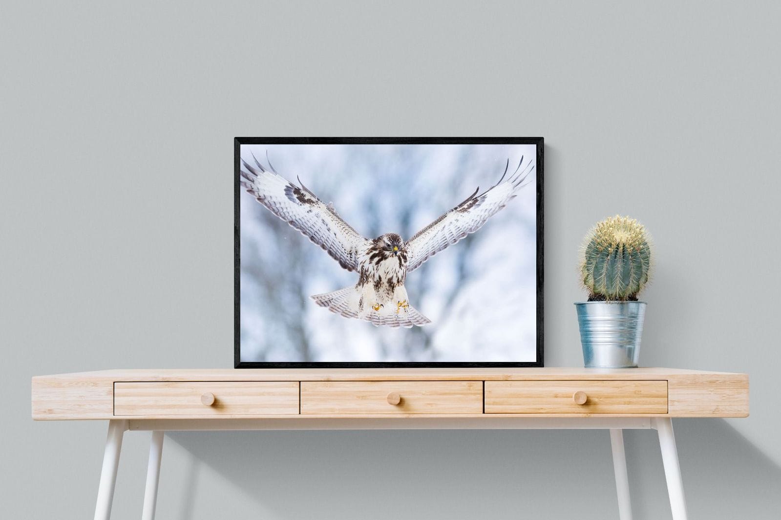 Jackal Buzzard-Wall_Art-80 x 60cm-Mounted Canvas-Black-Pixalot