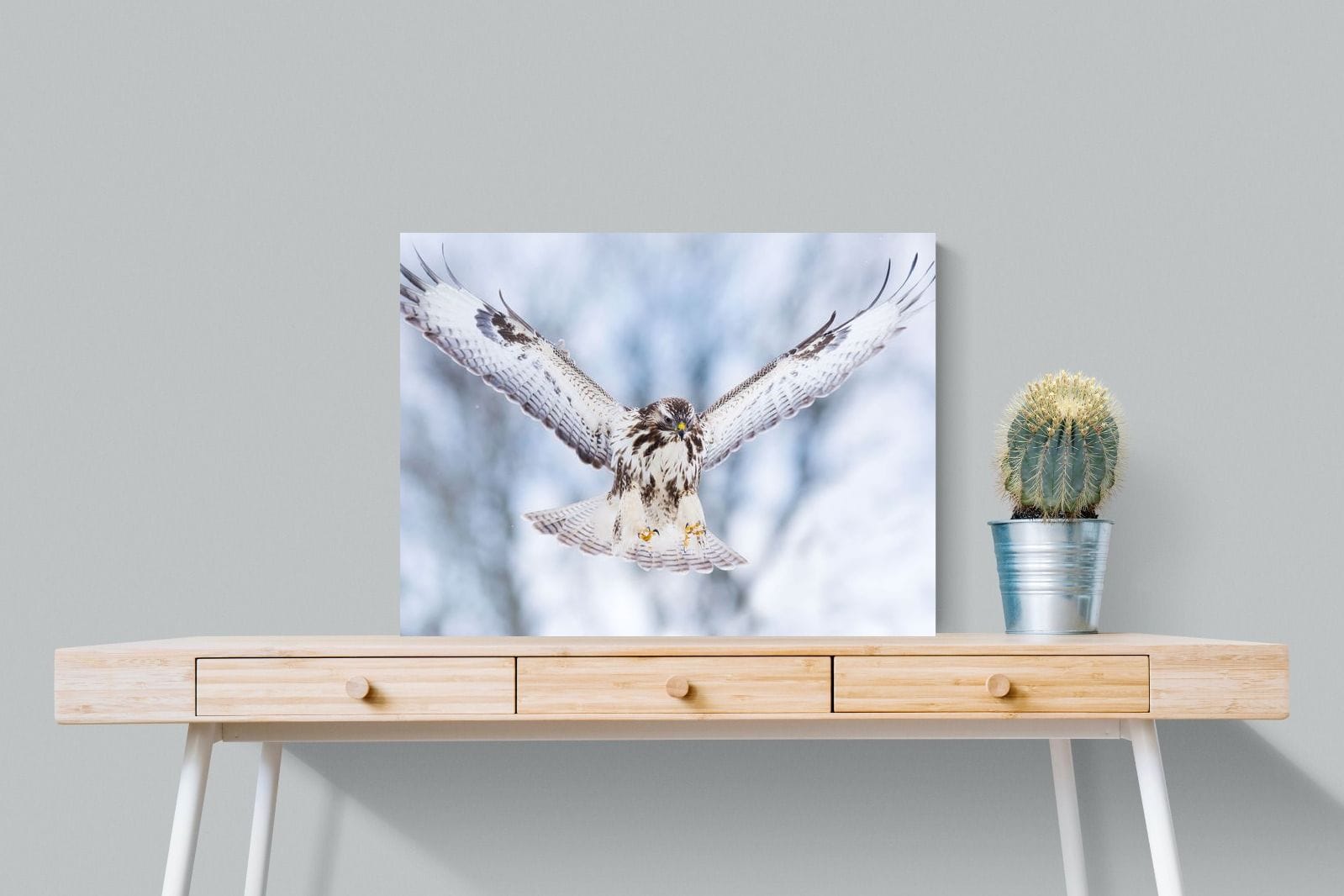 Jackal Buzzard-Wall_Art-80 x 60cm-Mounted Canvas-No Frame-Pixalot