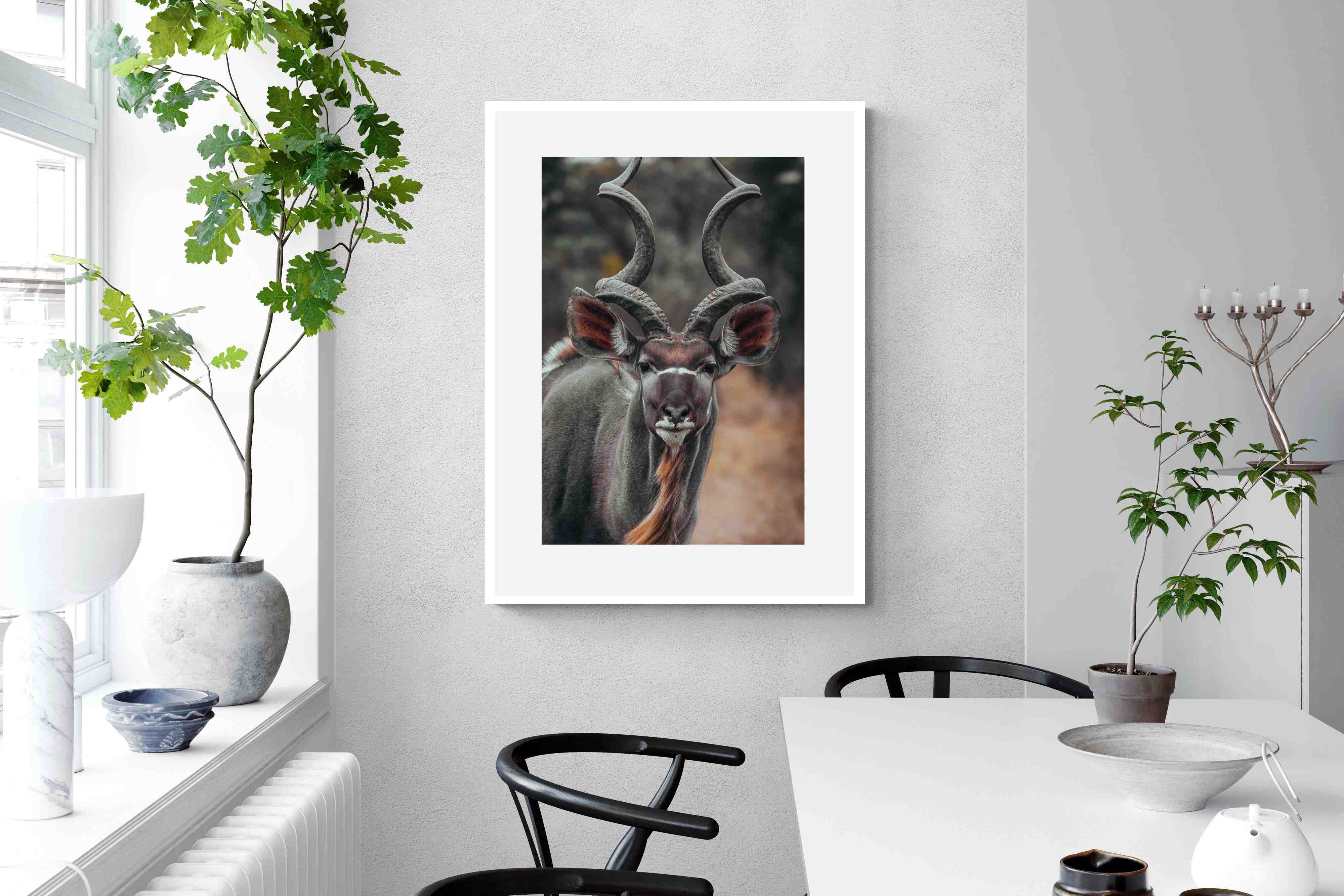 Pixalot Kudu