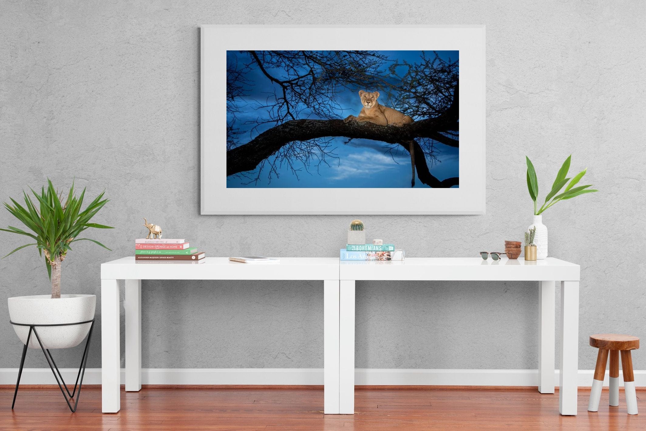 Lion at Dusk-Wall_Art-150 x 100cm-Framed Print-White-Pixalot