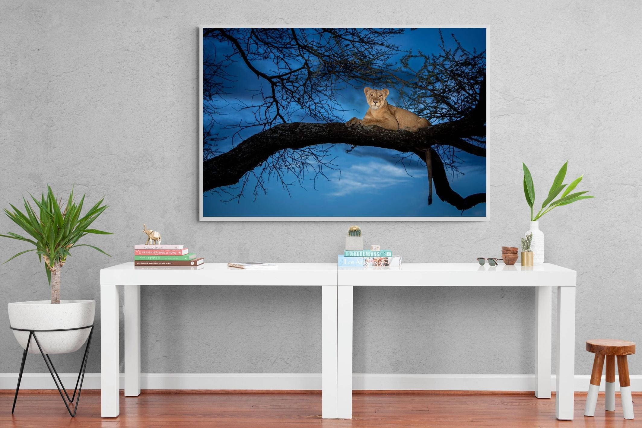 Lion at Dusk-Wall_Art-150 x 100cm-Mounted Canvas-White-Pixalot