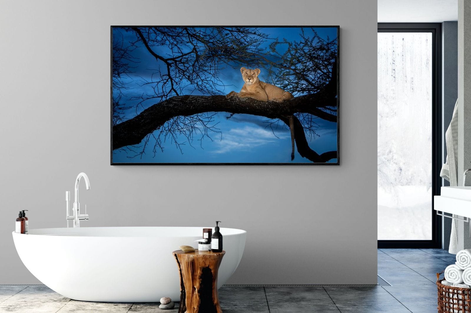 Lion at Dusk-Wall_Art-180 x 110cm-Mounted Canvas-Black-Pixalot