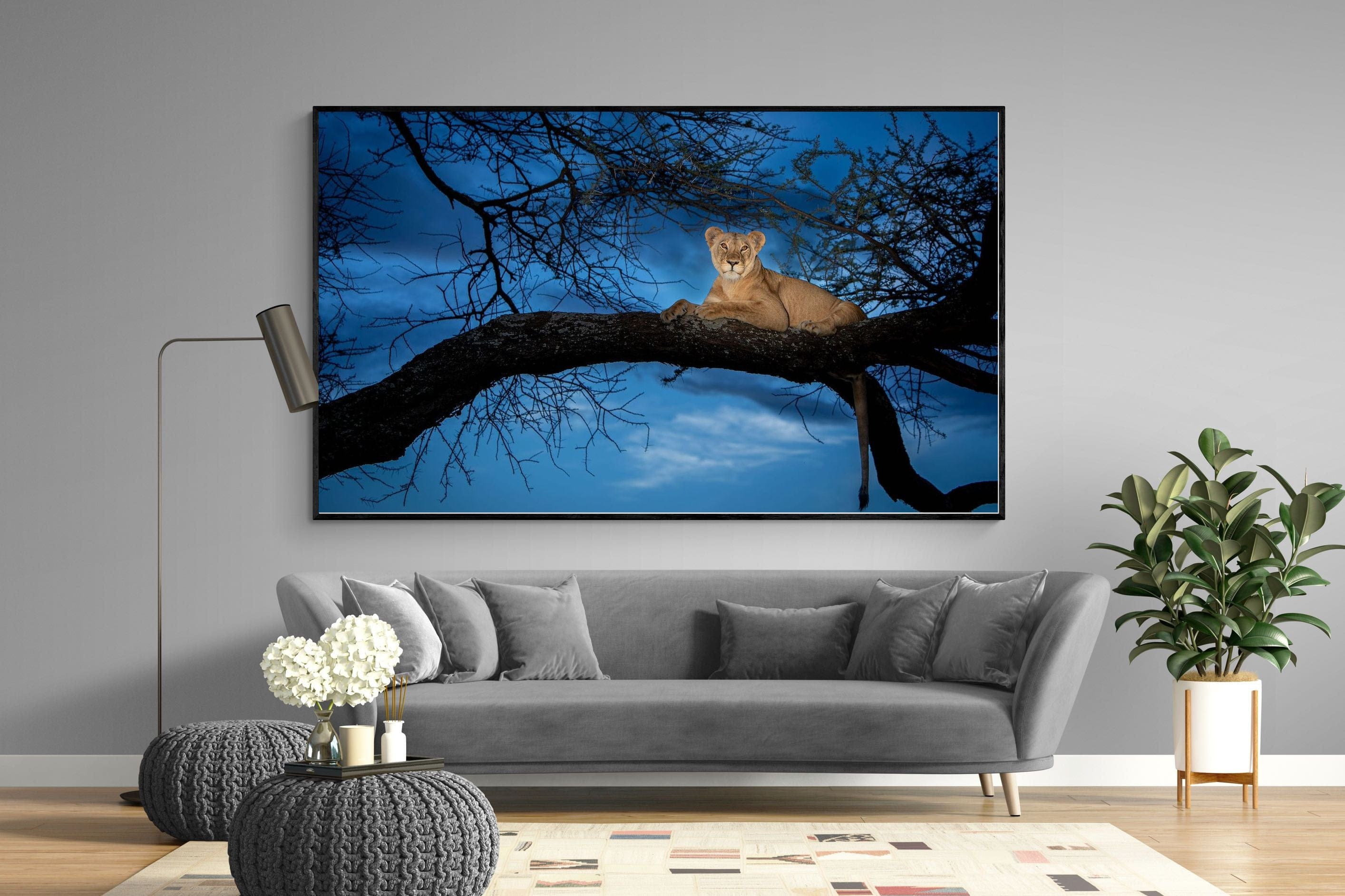 Lion at Dusk-Wall_Art-220 x 130cm-Mounted Canvas-Black-Pixalot