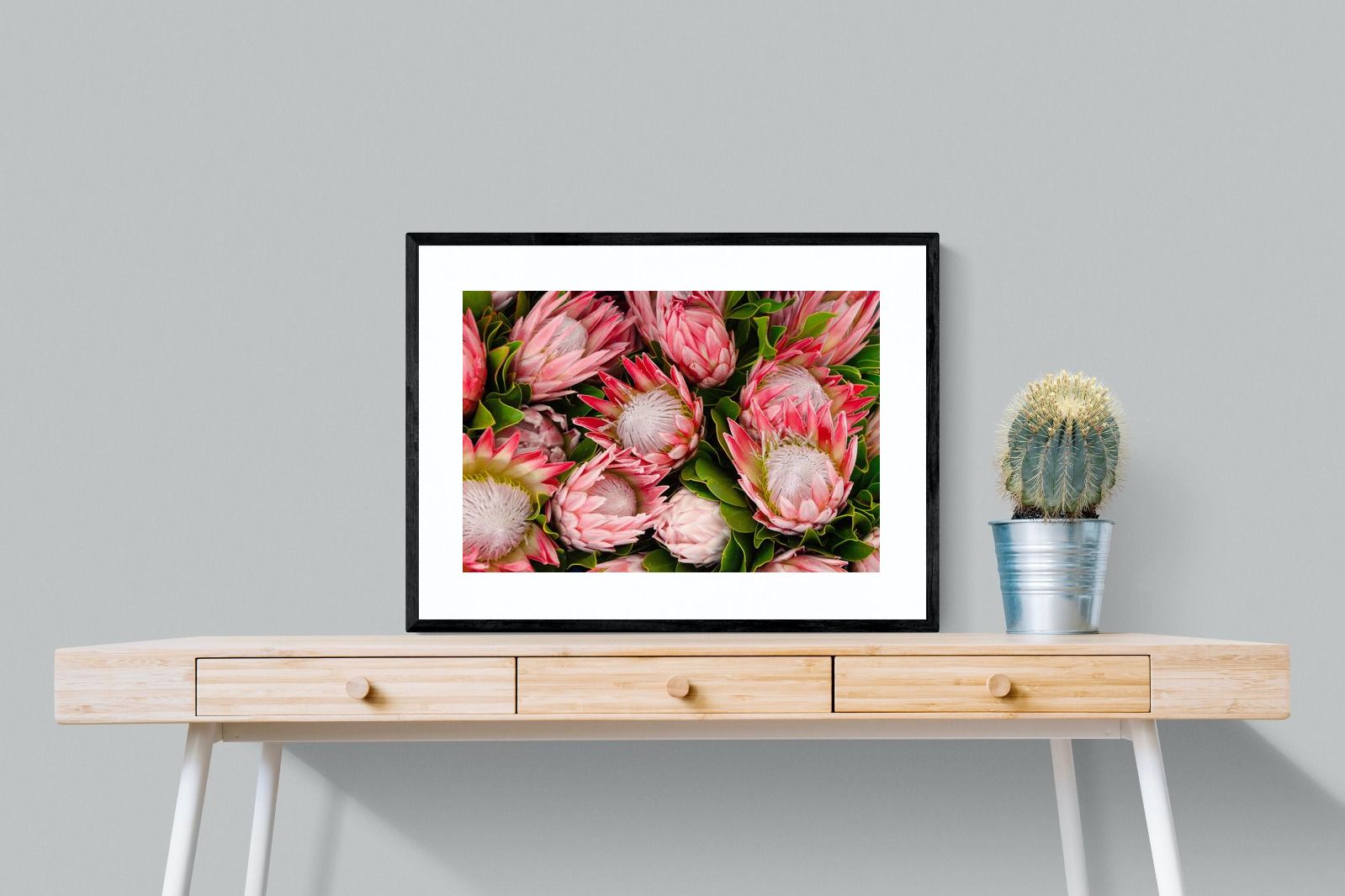 Pixalot Lush Proteas