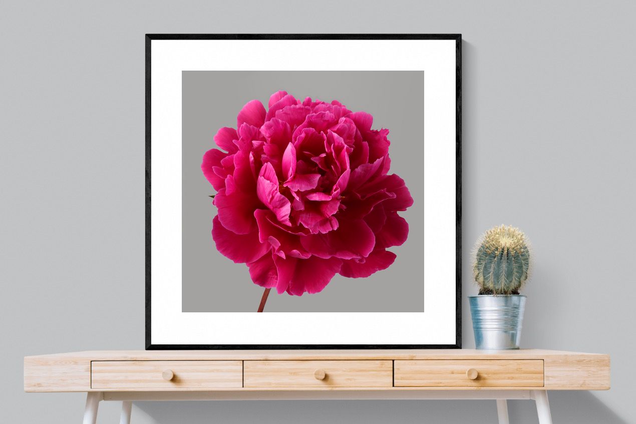 Pixalot Magenta Peony