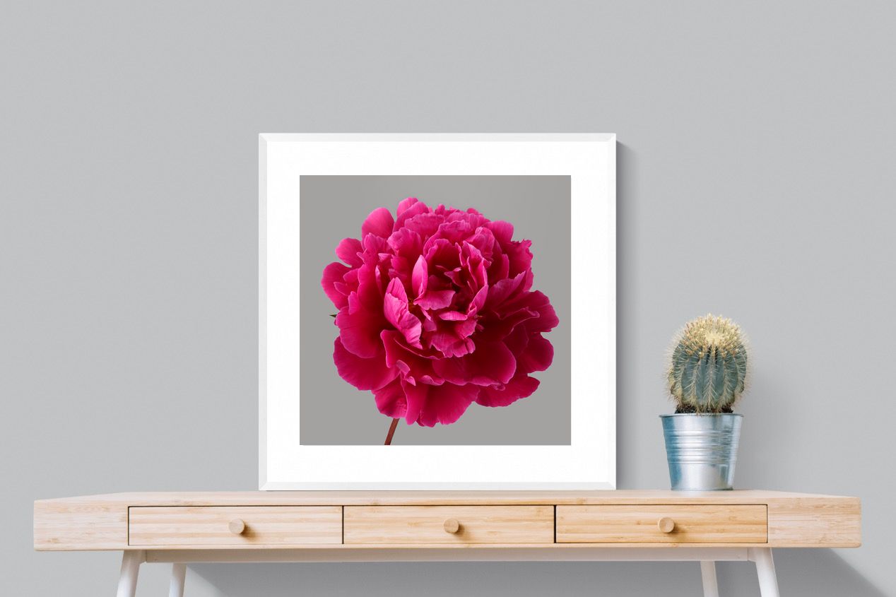 Pixalot Magenta Peony