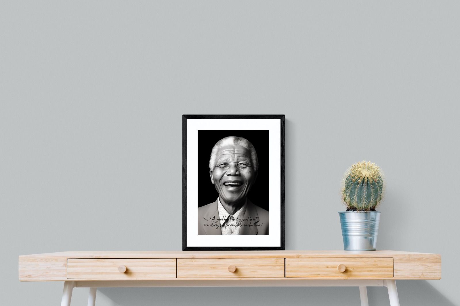 Pixalot Mandela's Wisdom