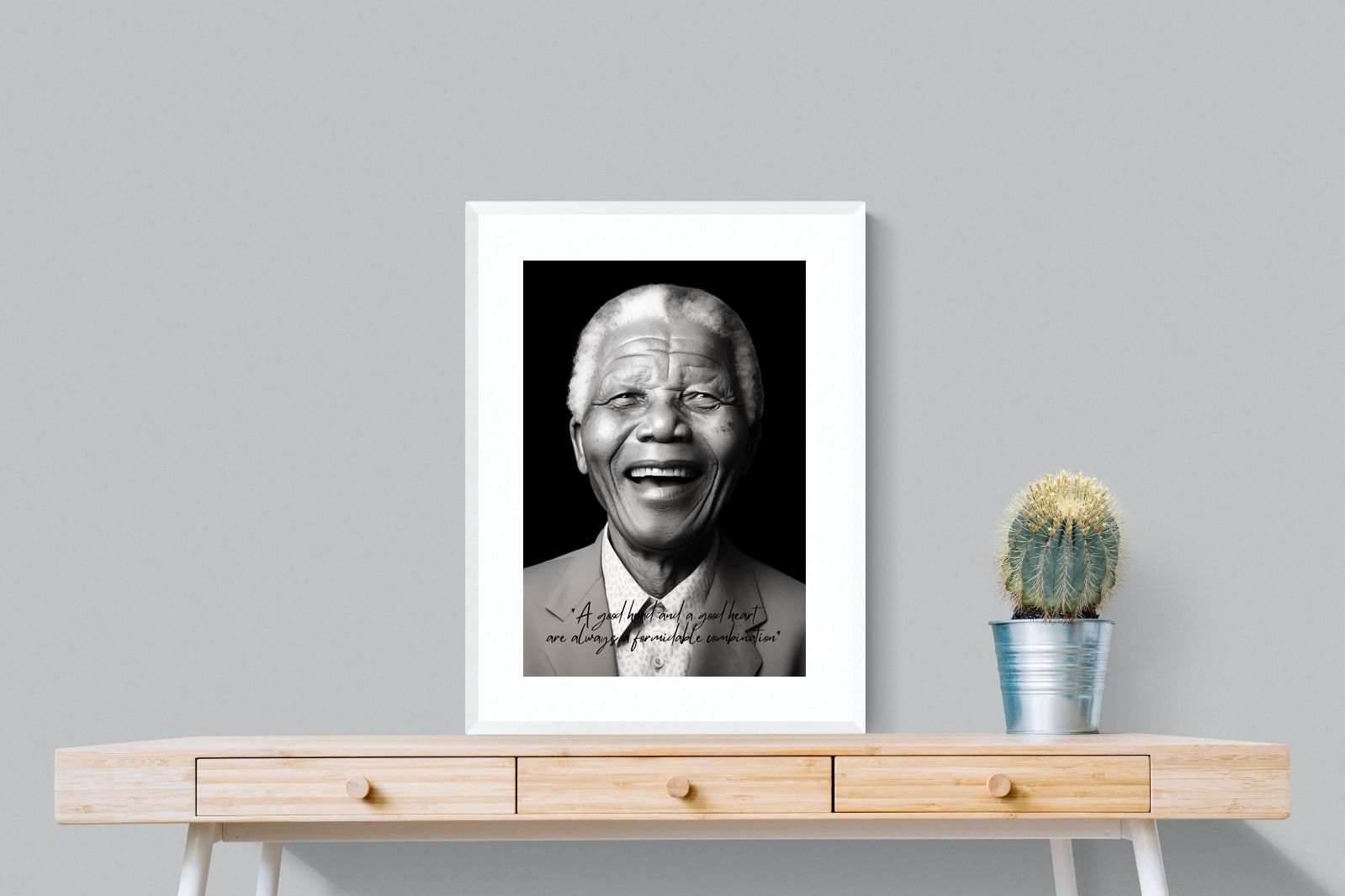 Pixalot Mandela's Wisdom