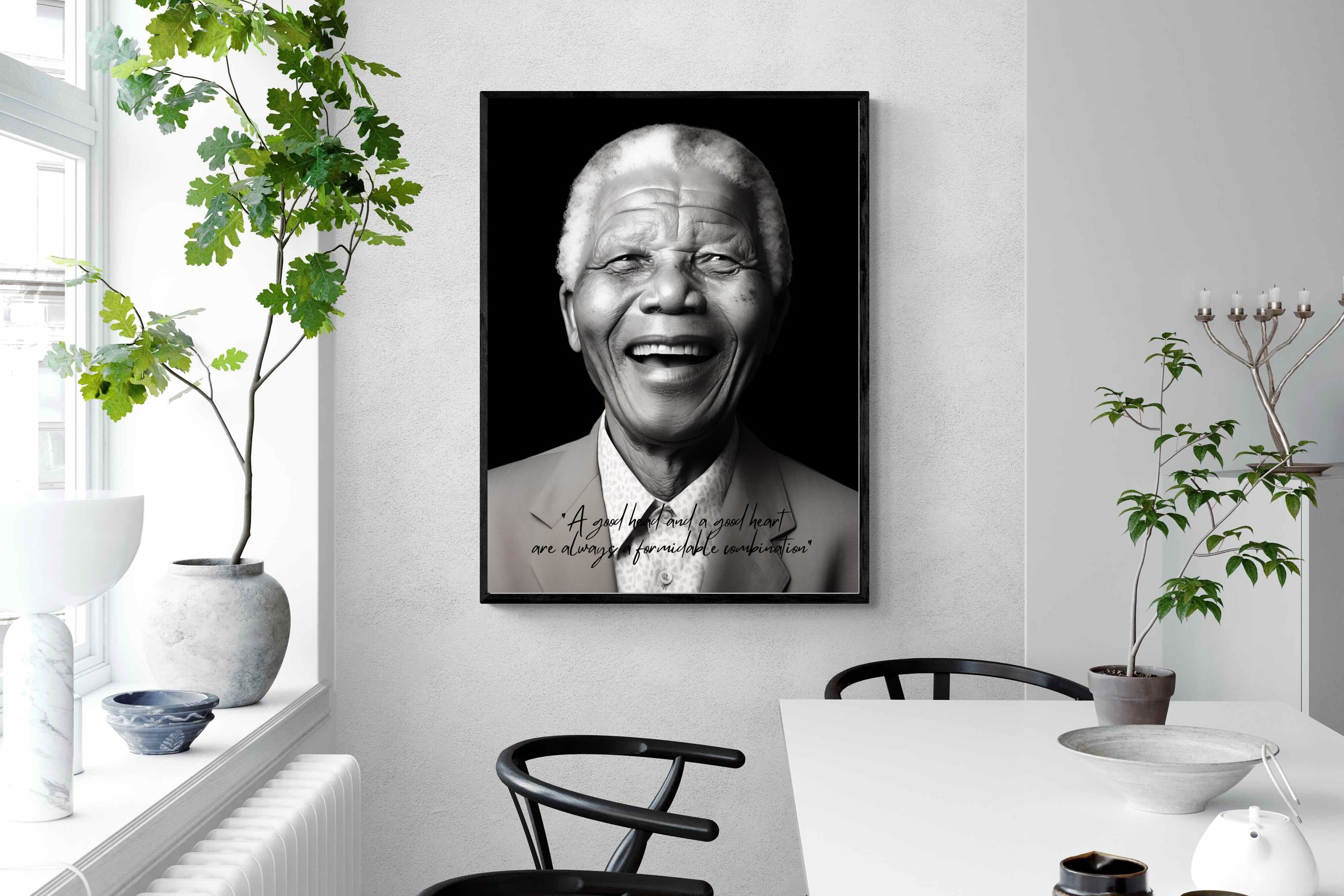 Pixalot Mandela's Wisdom