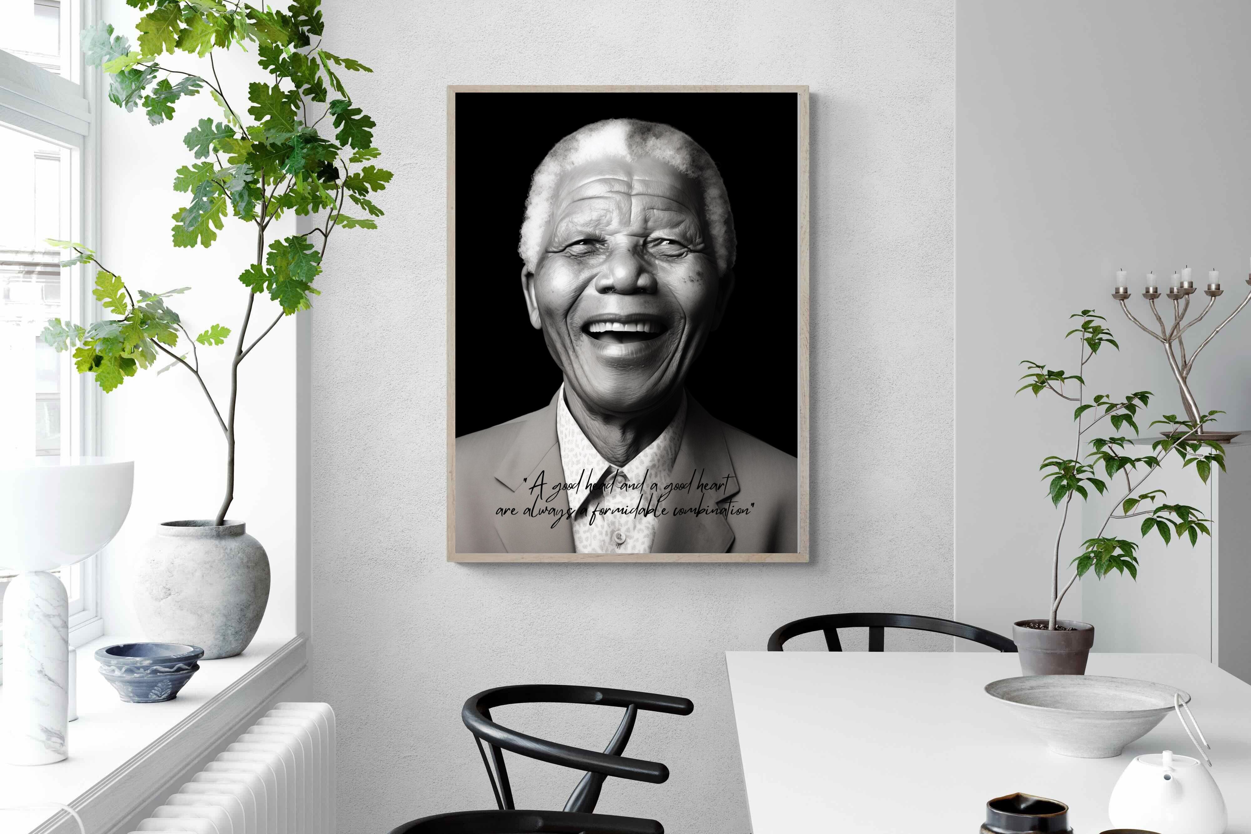 Pixalot Mandela's Wisdom