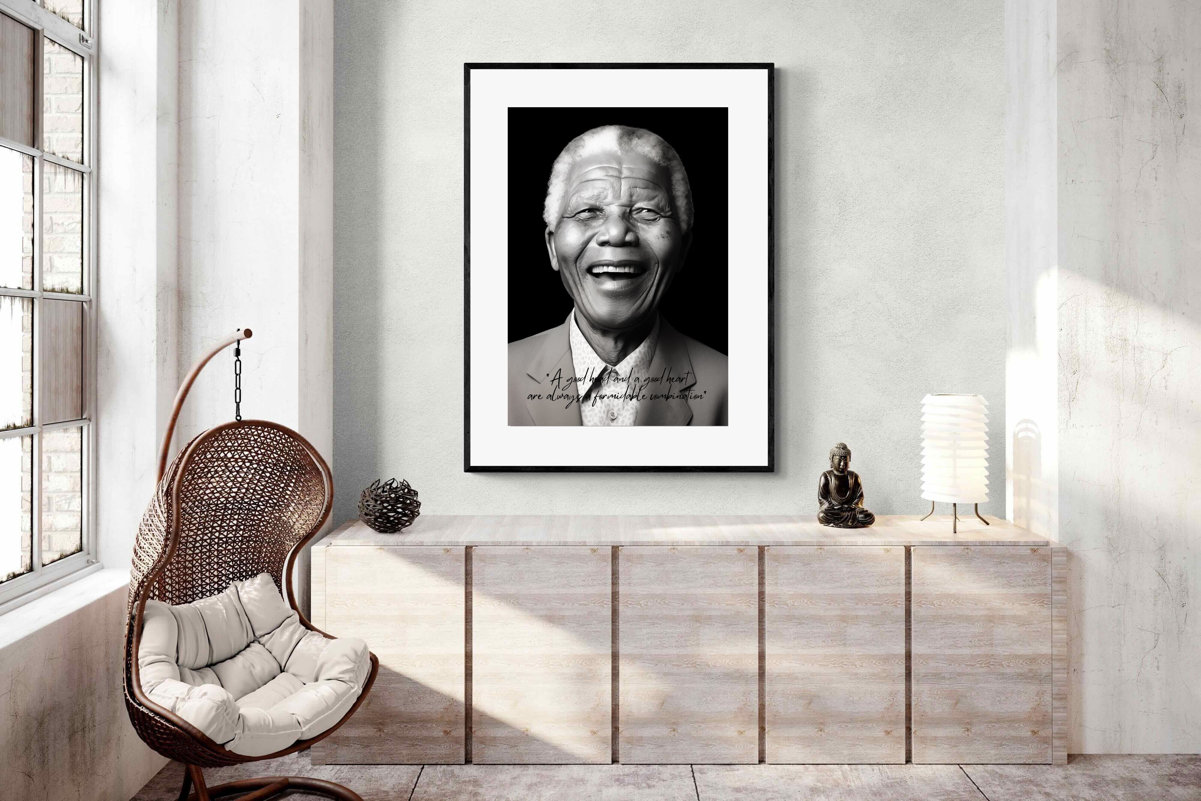 Pixalot Mandela's Wisdom