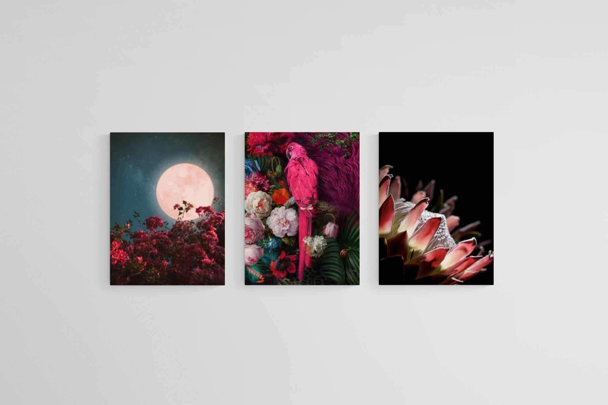 Midnight Set-Wall_Art-45 x 60cm (x3)-Mounted Canvas-No Frame-Pixalot