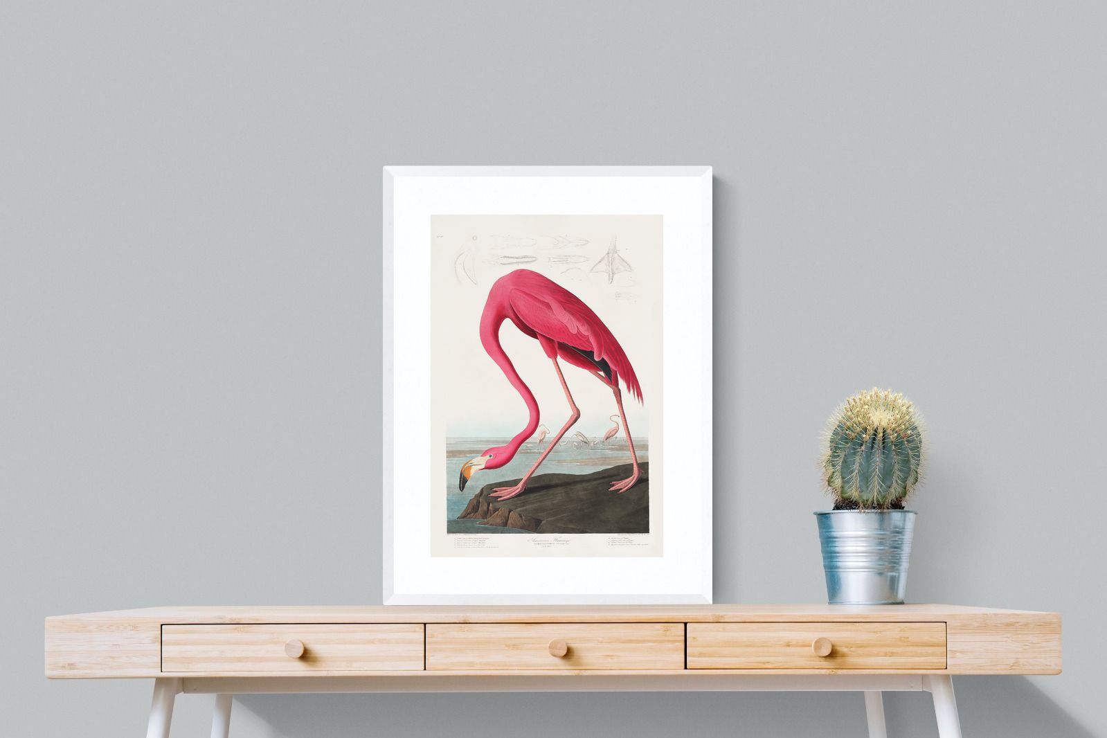 Pixalot Pink Flamingo (Birds of America 1827)