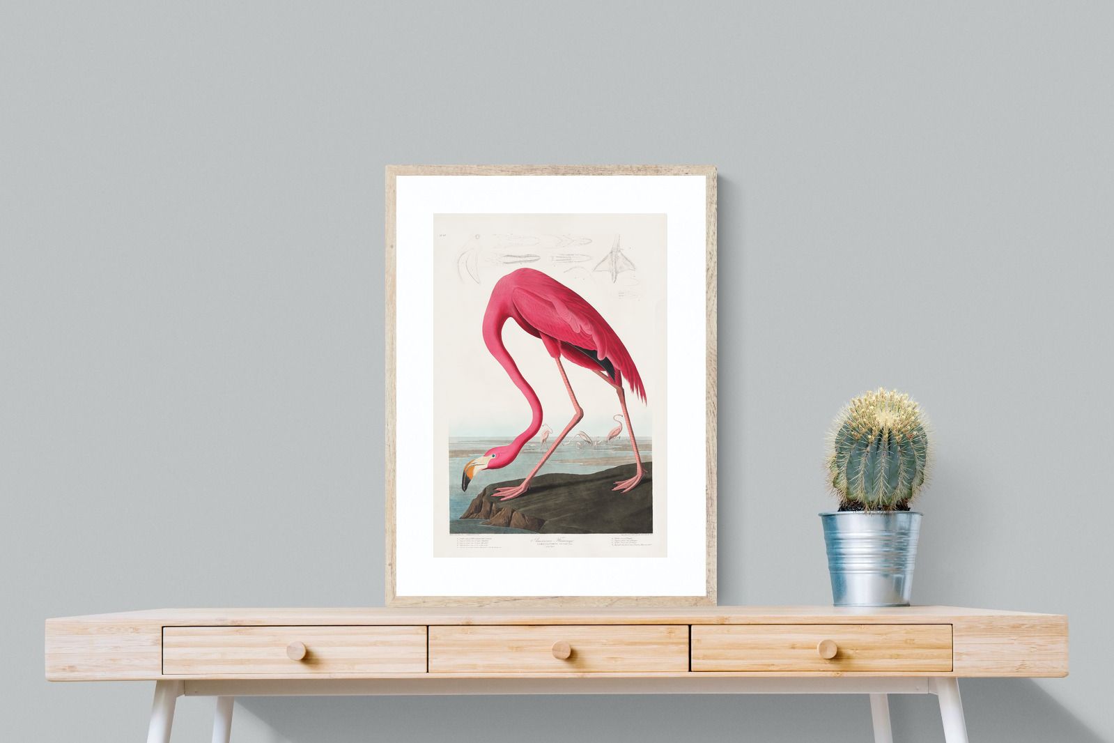 Pixalot Pink Flamingo (Birds of America 1827)