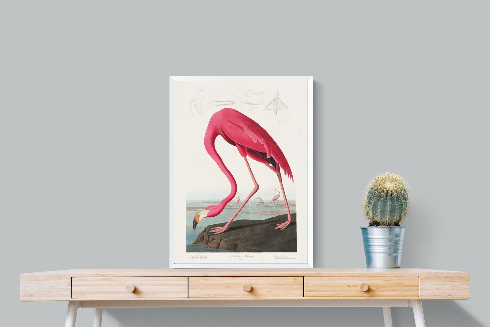 Pixalot Pink Flamingo (Birds of America 1827)