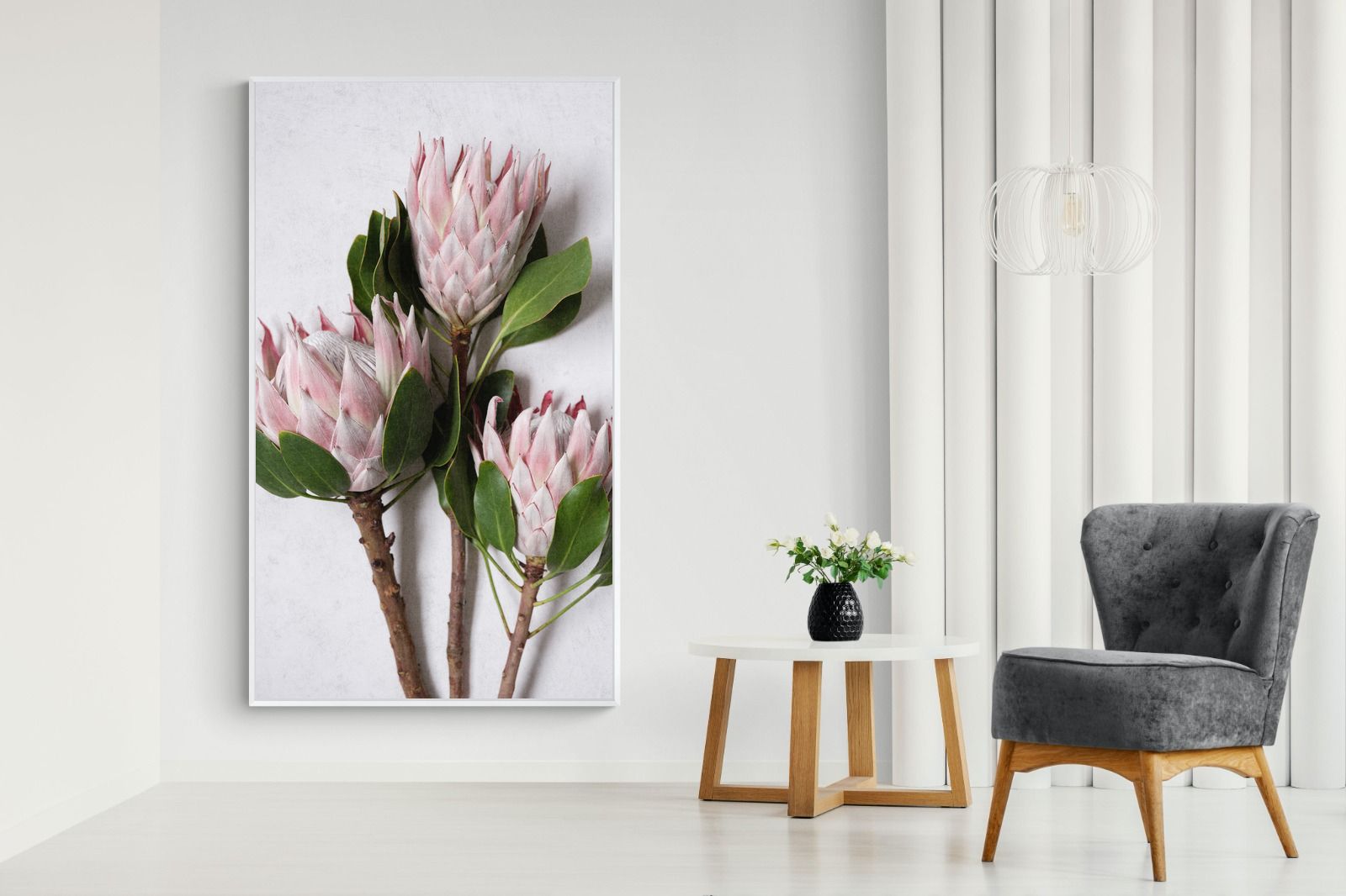 Pixalot Pink King Protea Trio