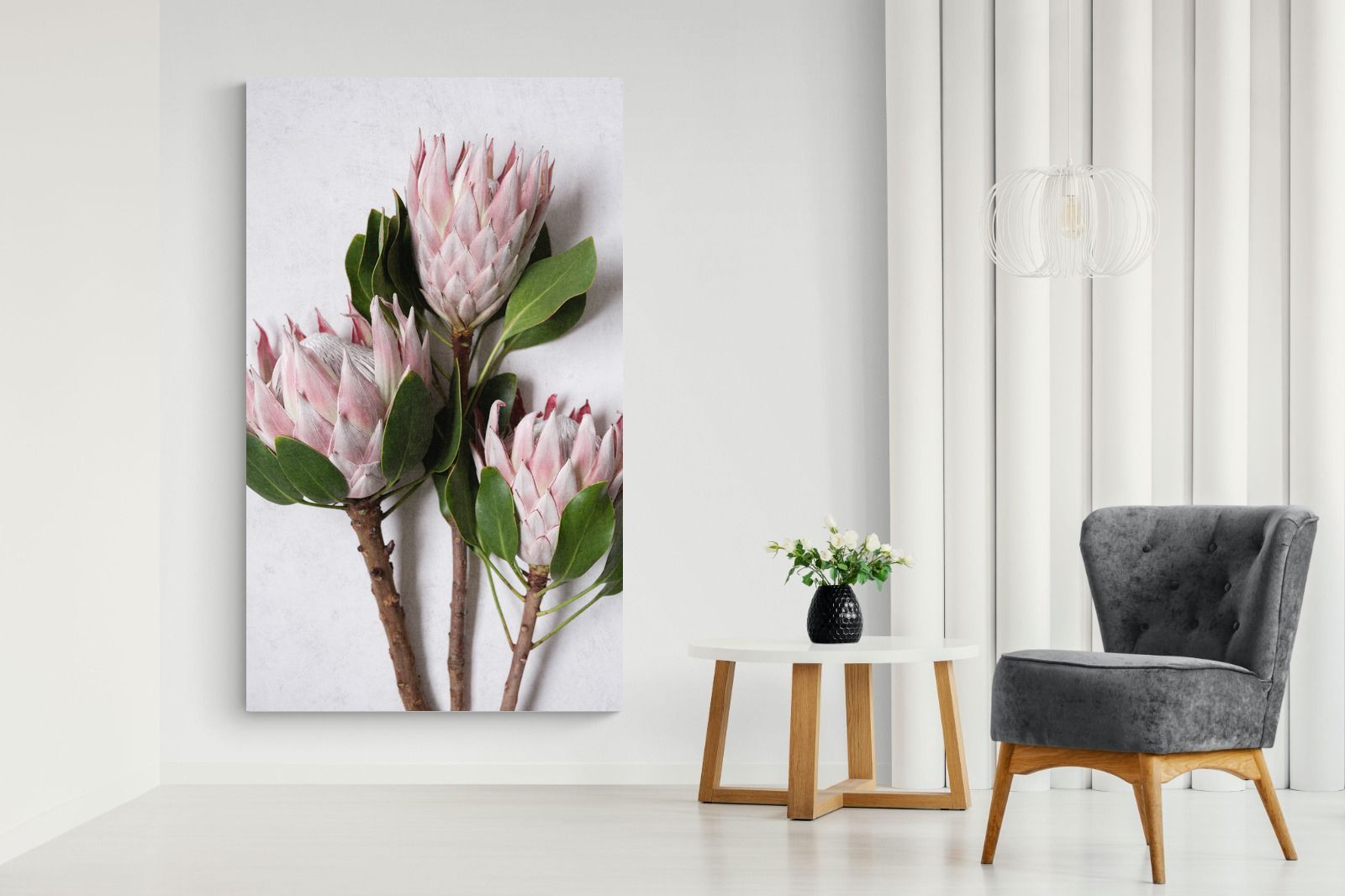 Pixalot Pink King Protea Trio