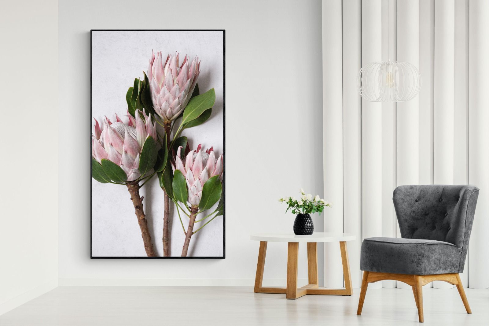 Pixalot Pink King Protea Trio