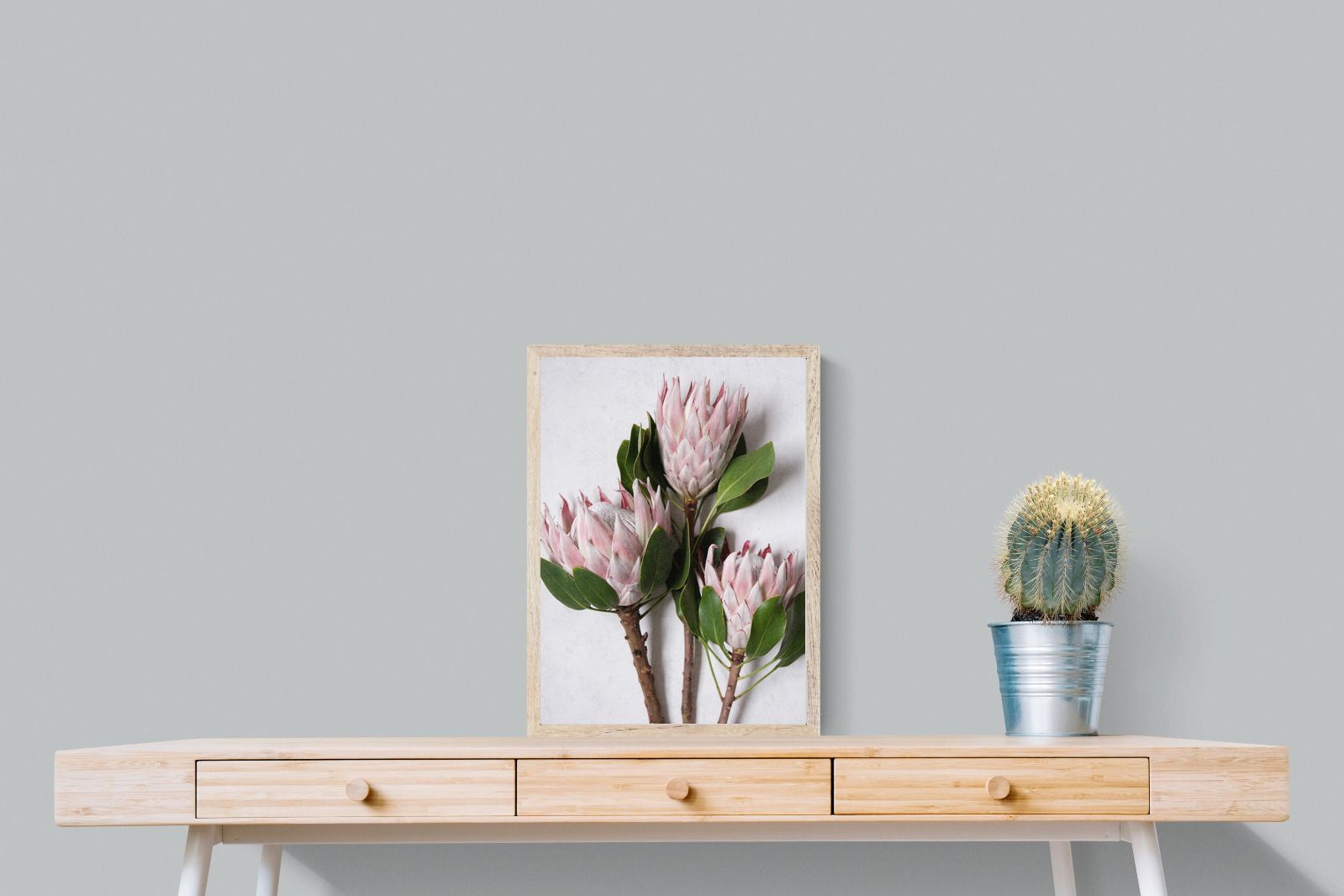 Pixalot Pink King Protea Trio