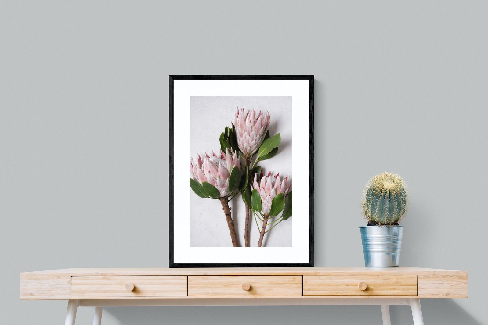 Pixalot Pink King Protea Trio