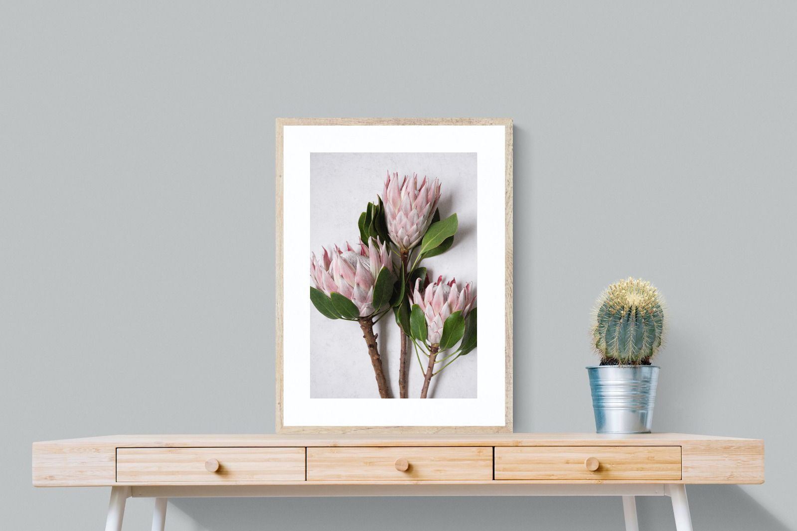 Pixalot Pink King Protea Trio