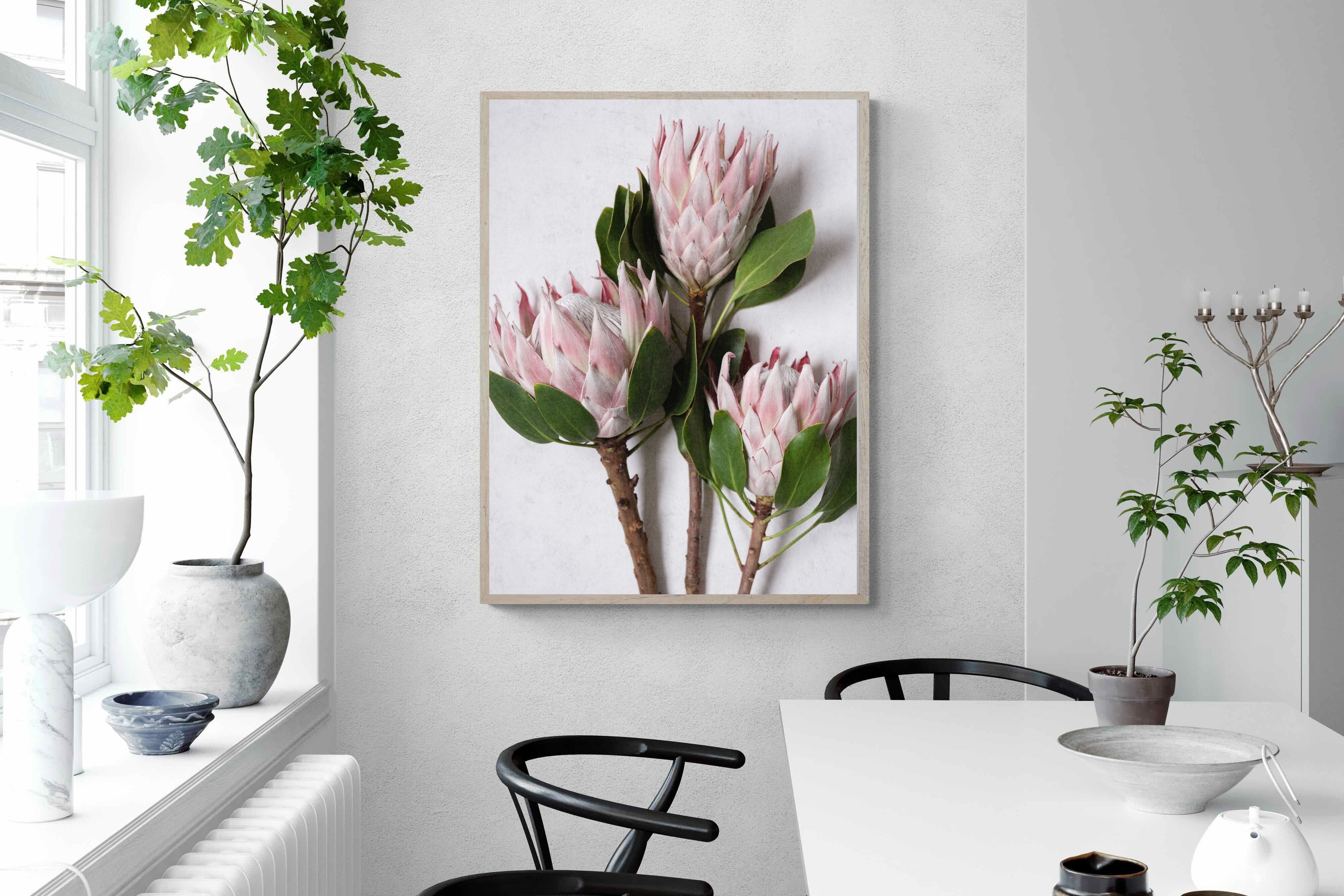 Pixalot Pink King Protea Trio