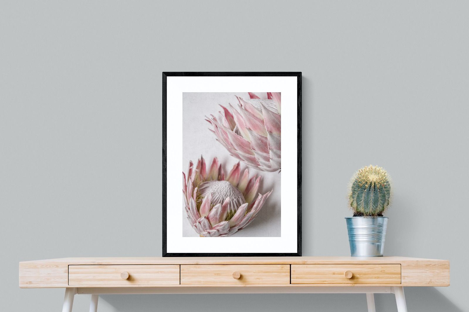 Pixalot Pink Protea Pair