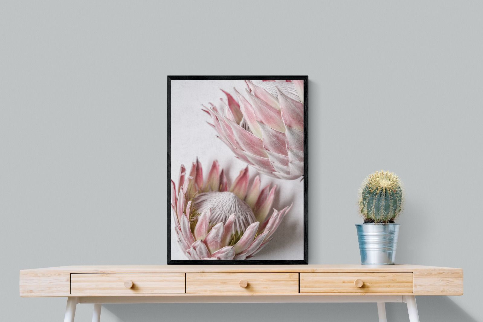 Pixalot Pink Protea Pair