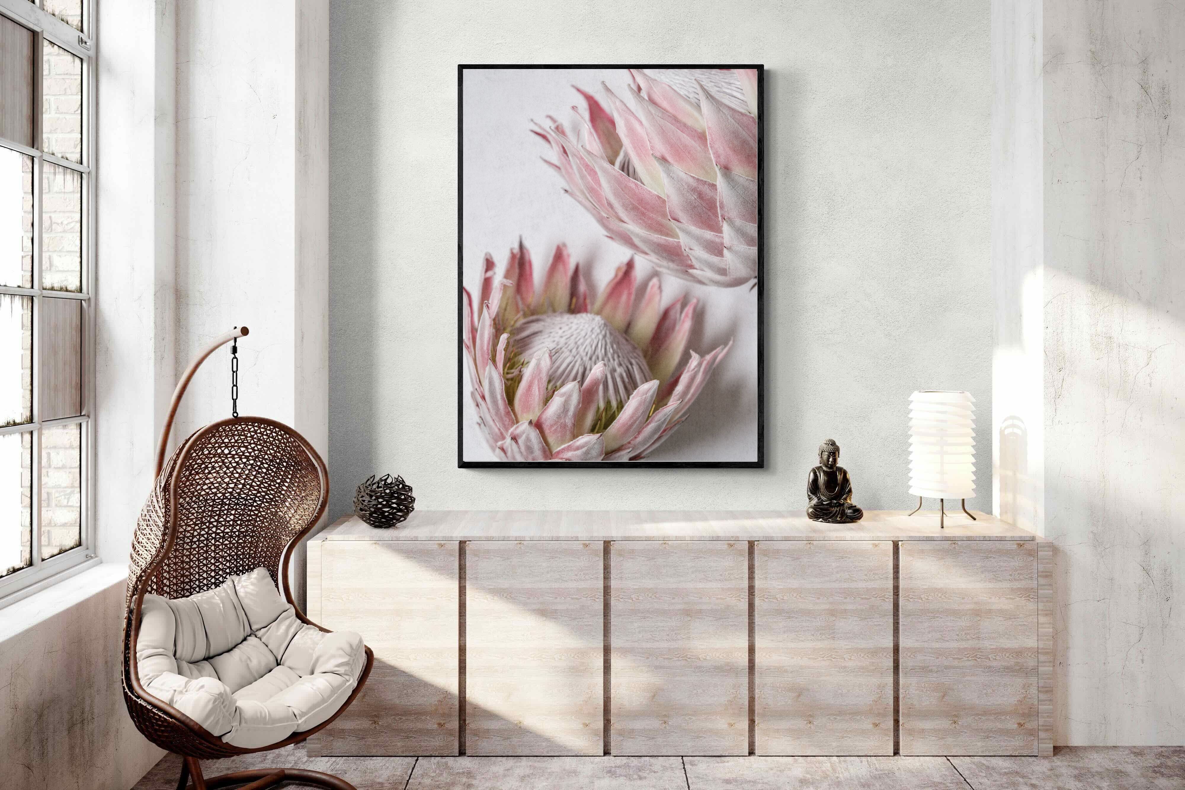 Pixalot Pink Protea Pair