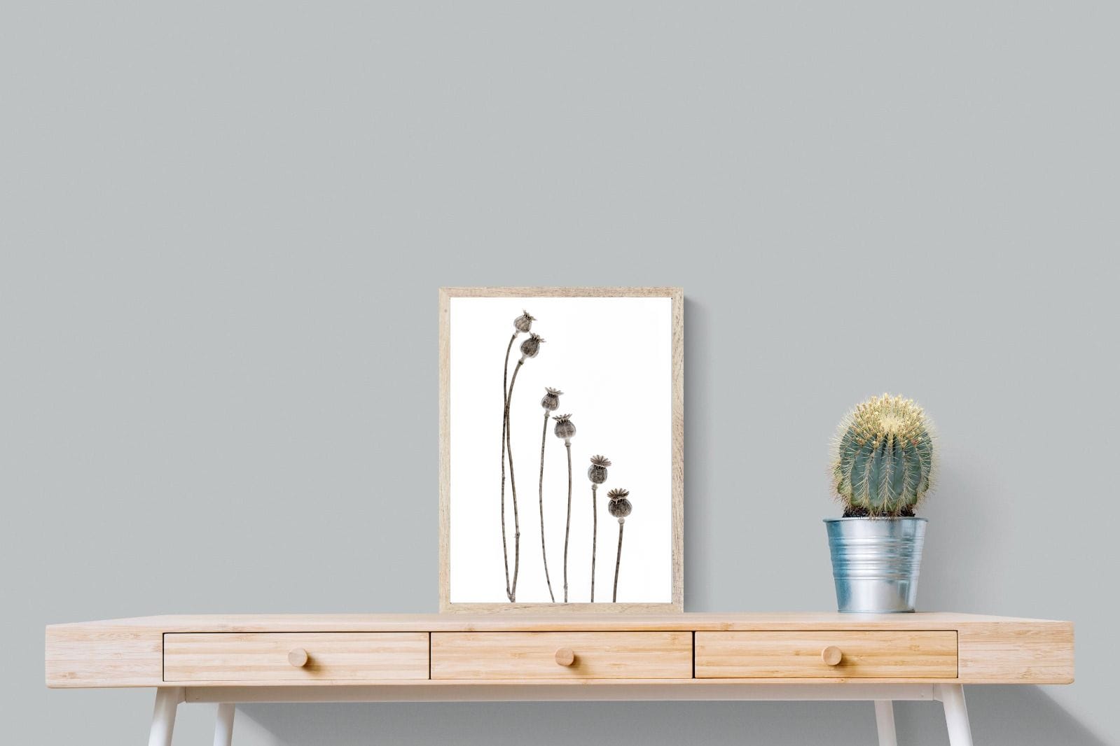 Poppy Pods-Wall_Art-45 x 60cm-Mounted Canvas-Wood-Pixalot