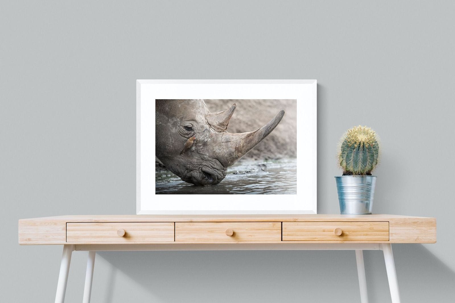 Rhino & Friend-Wall_Art-80 x 60cm-Framed Print-White-Pixalot