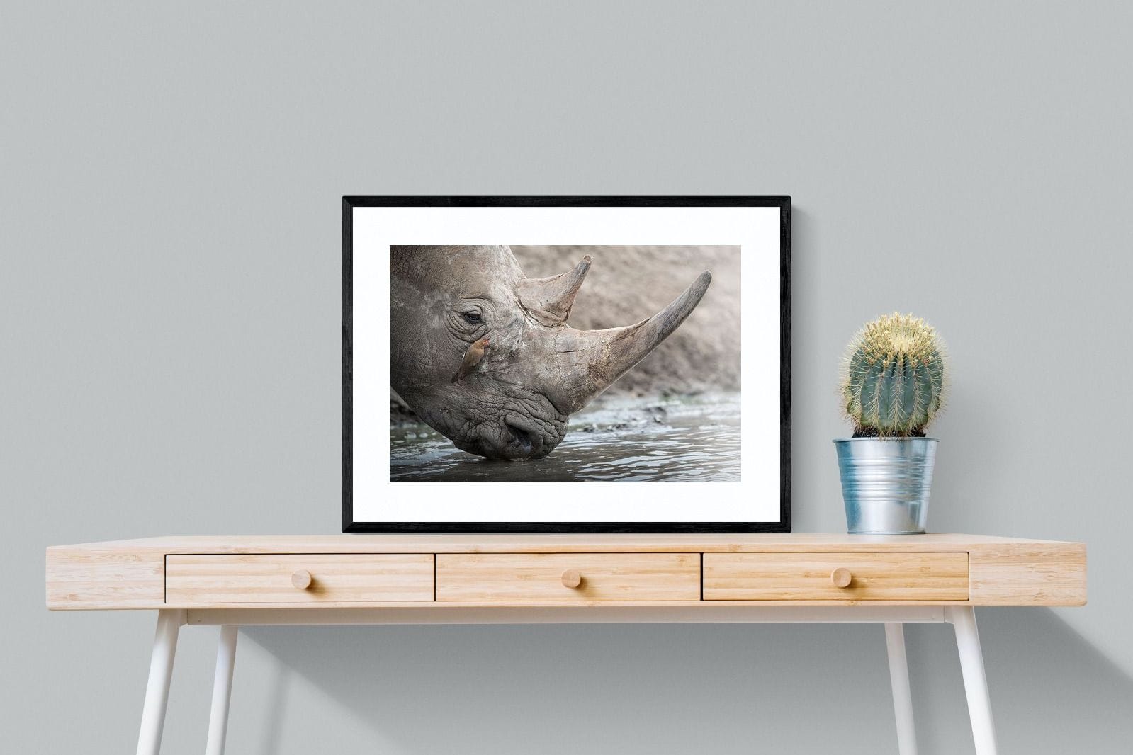 Rhino & Friend-Wall_Art-80 x 60cm-Framed Print-Black-Pixalot