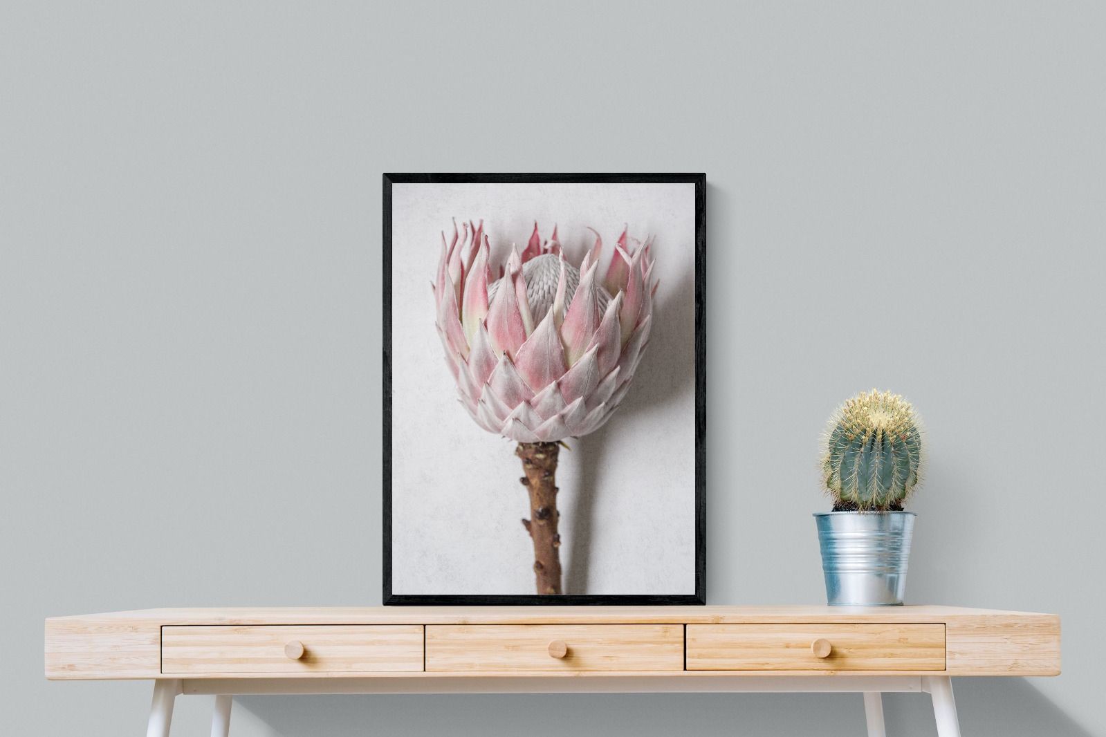 Pixalot Single Pink King Protea