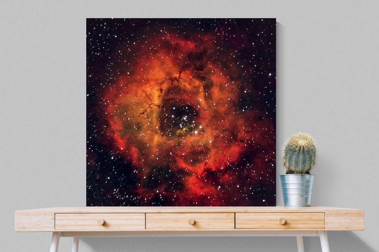 Sky Rose-Wall_Art-100 x 100cm-Mounted Canvas-No Frame-Pixalot