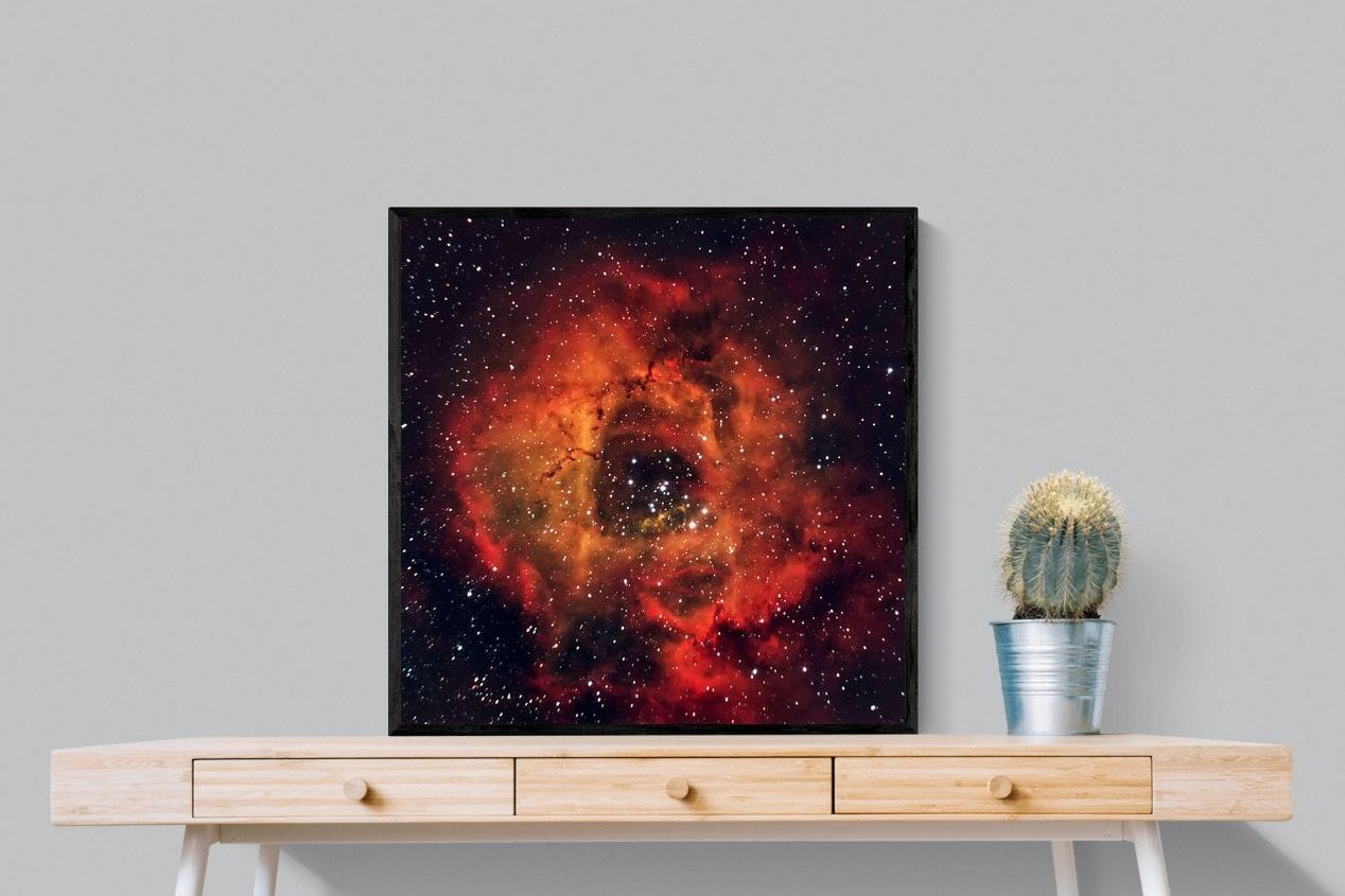 Sky Rose-Wall_Art-80 x 80cm-Mounted Canvas-Black-Pixalot