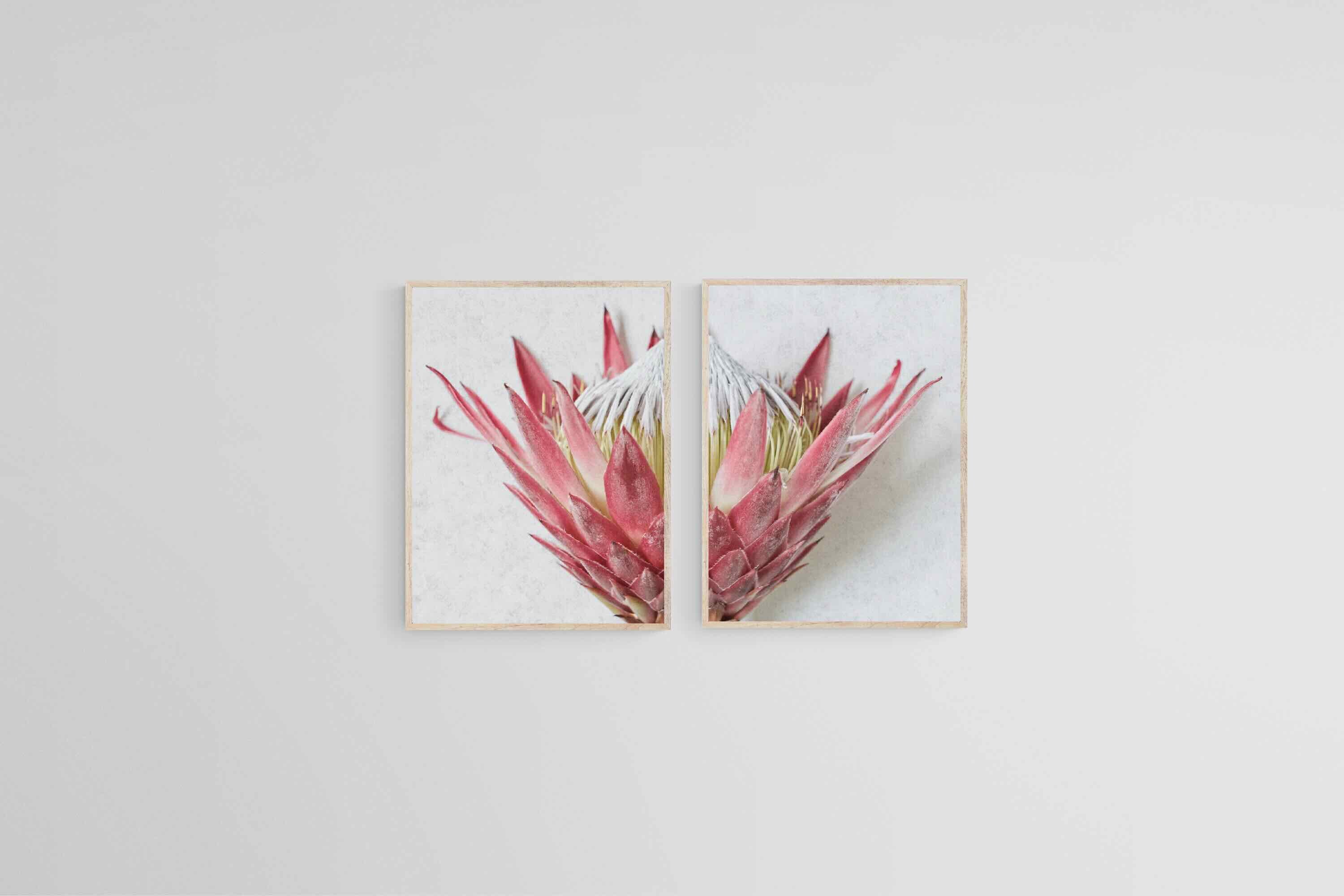 Split Red King Protea Set-Wall_Art-45 x 60cm (x2)-Mounted Canvas-Wood-Pixalot