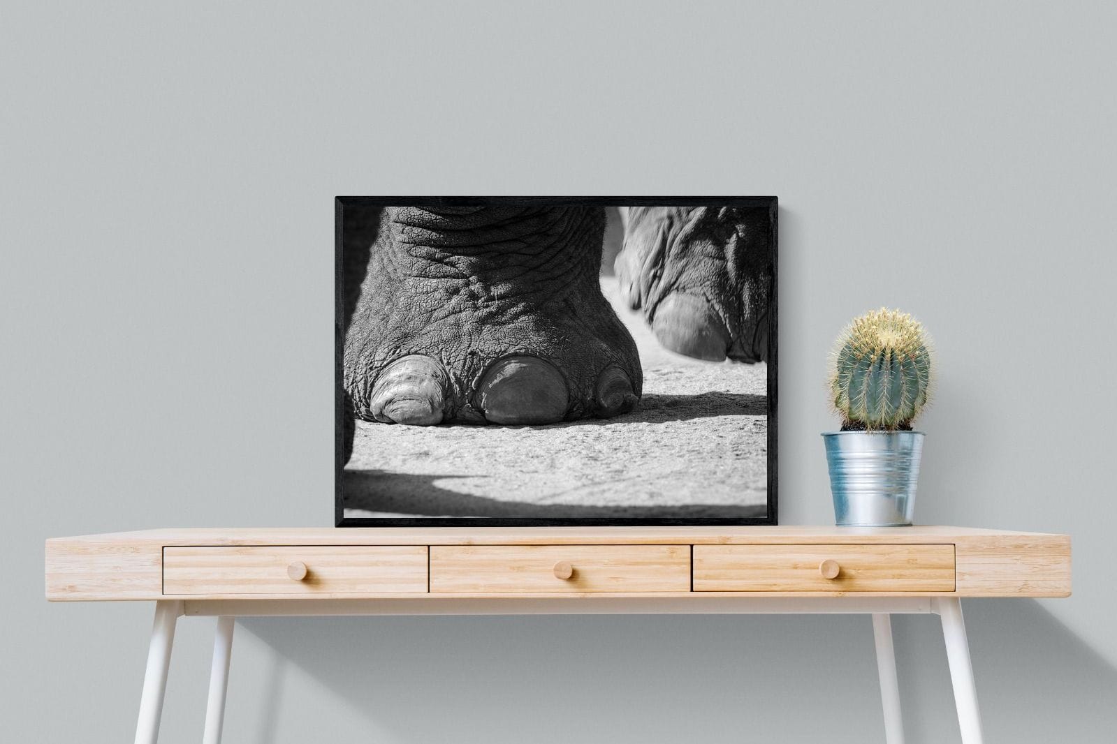 Stomp-Wall_Art-80 x 60cm-Mounted Canvas-Black-Pixalot