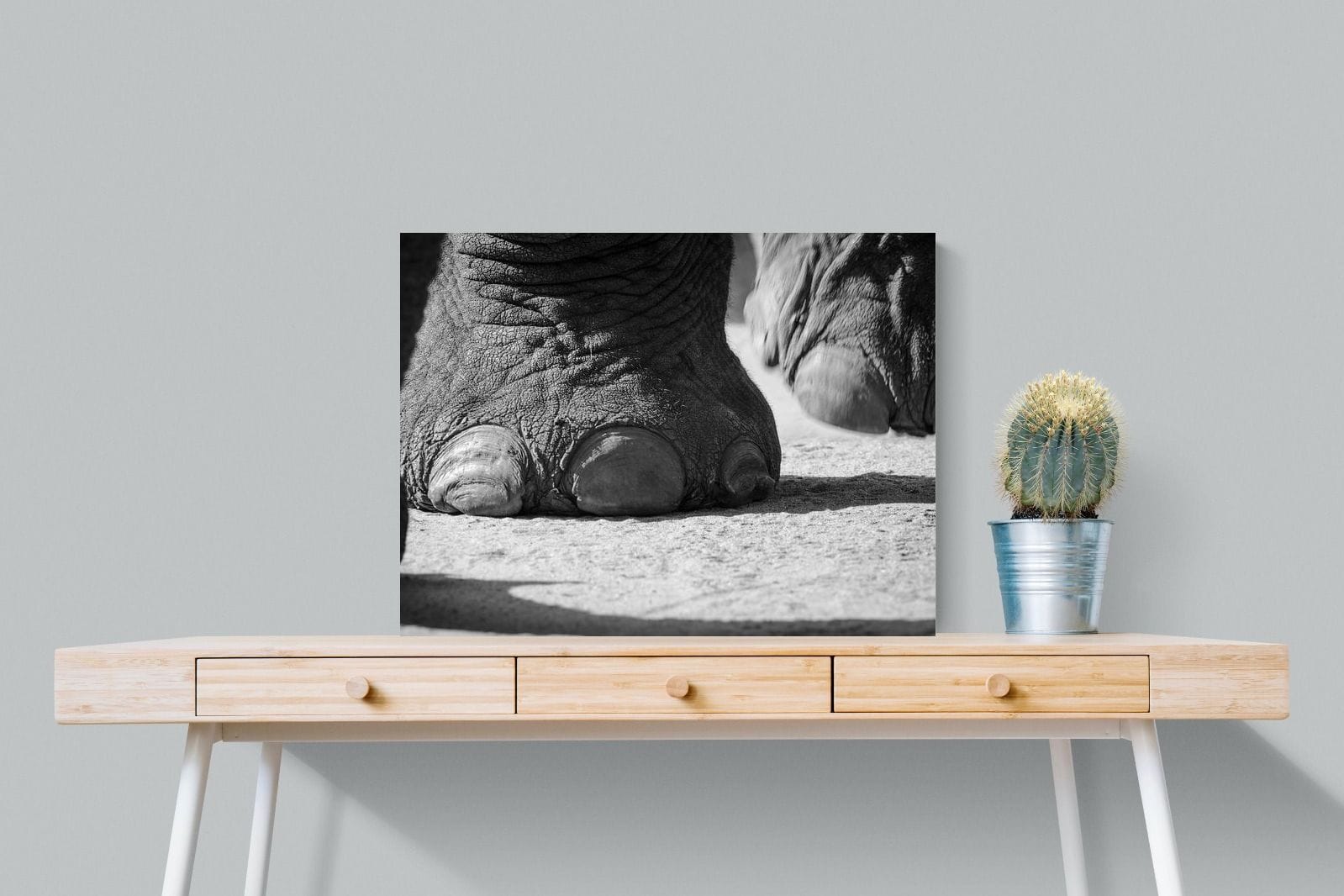 Stomp-Wall_Art-80 x 60cm-Mounted Canvas-No Frame-Pixalot