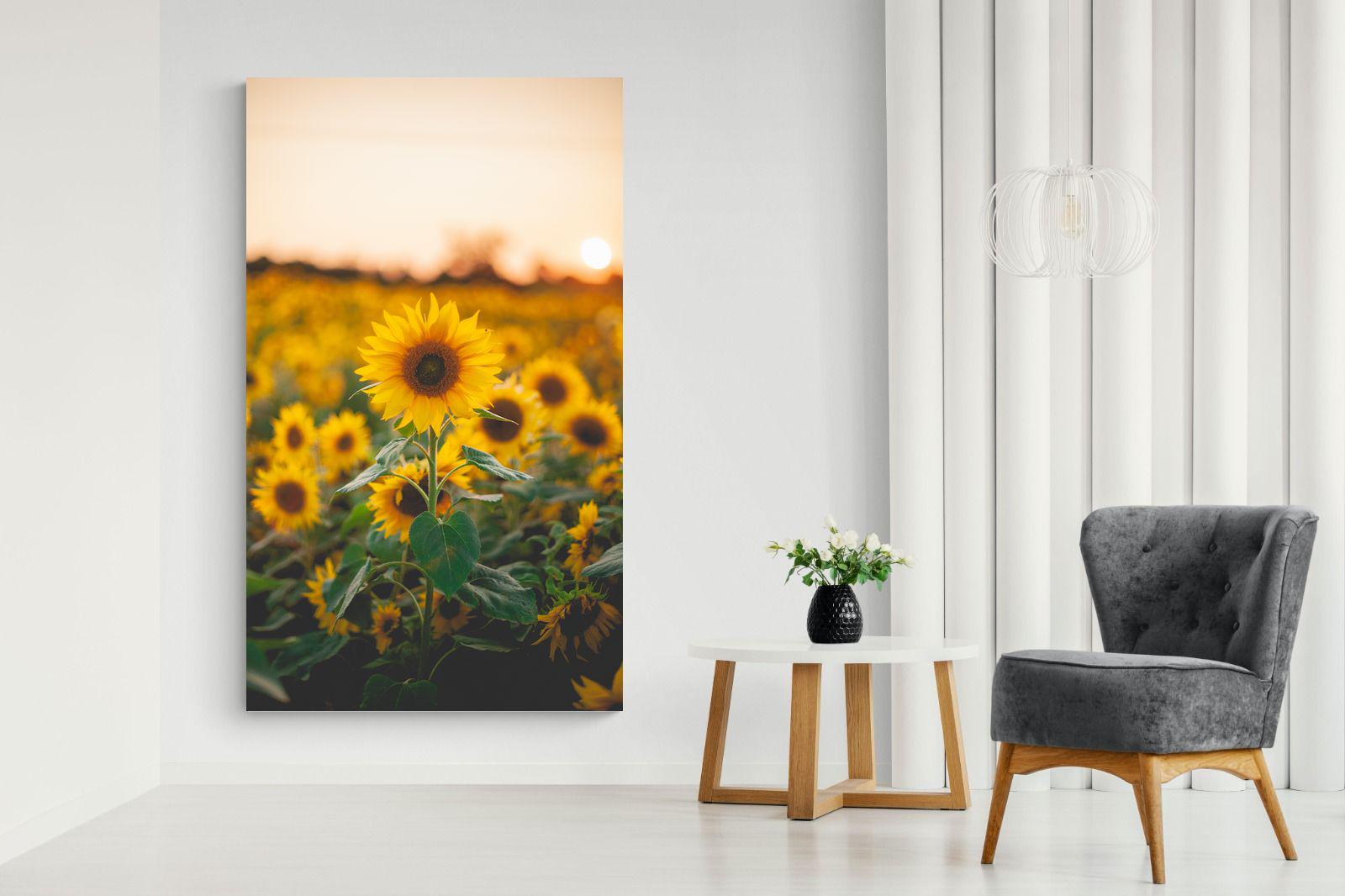 Pixalot Sunflowers at Sunset