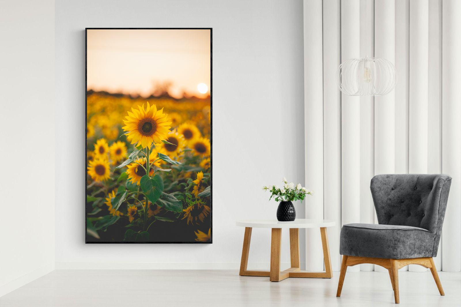 Pixalot Sunflowers at Sunset