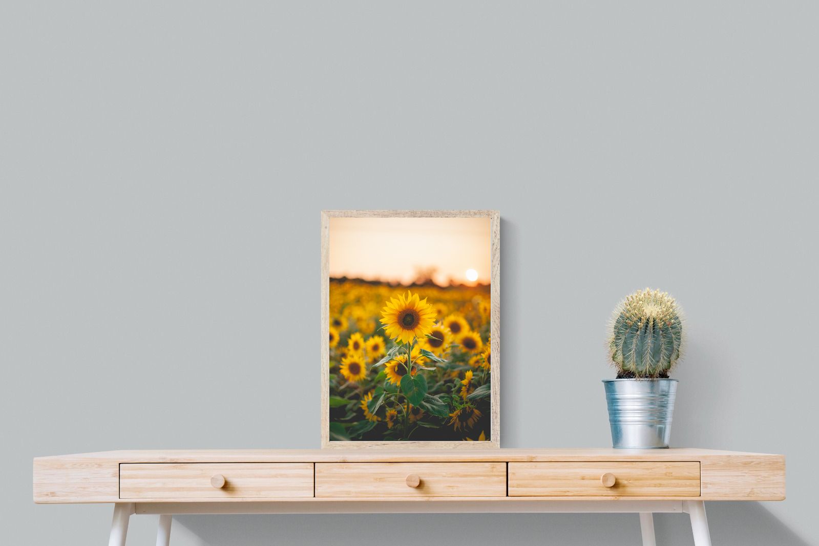 Pixalot Sunflowers at Sunset