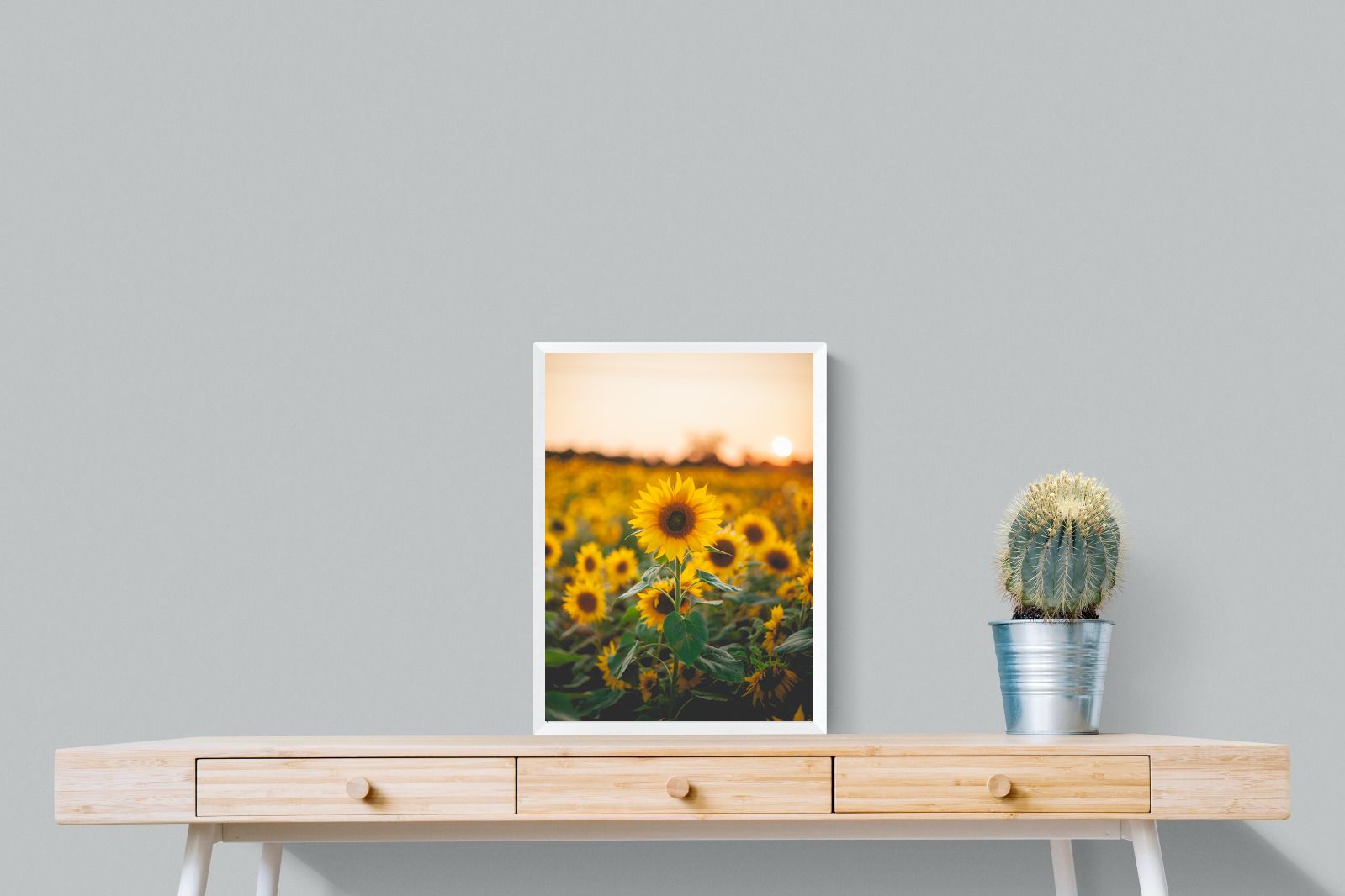 Pixalot Sunflowers at Sunset