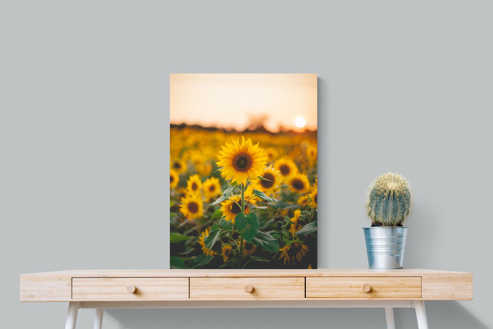 Pixalot Sunflowers at Sunset