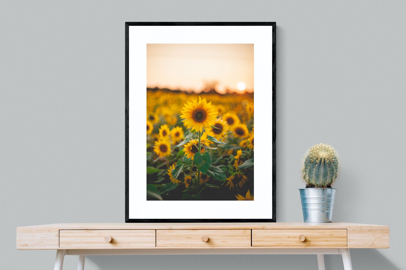 Pixalot Sunflowers at Sunset