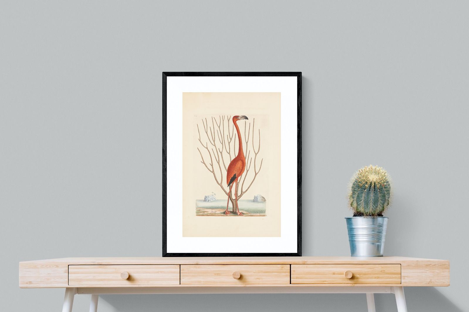 Pixalot Vintage Flamingo