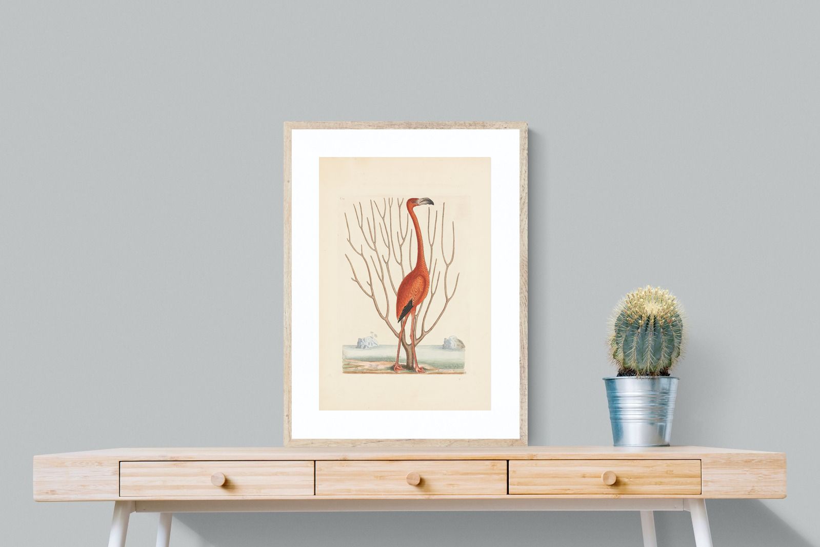 Pixalot Vintage Flamingo