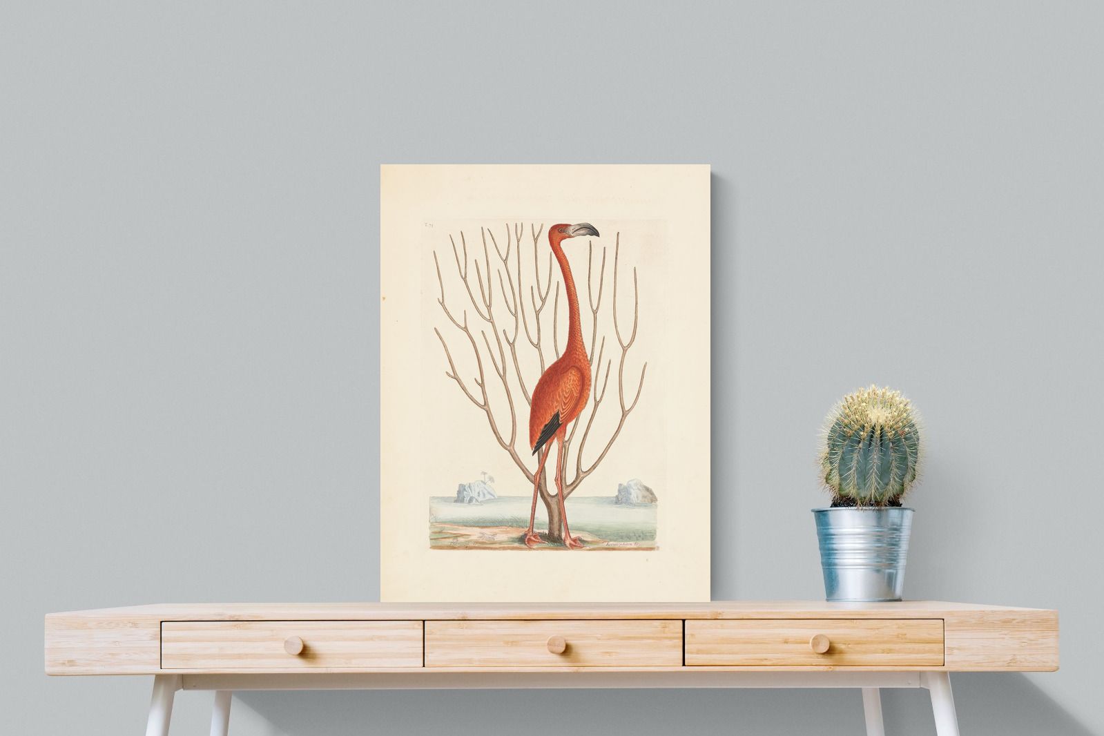 Pixalot Vintage Flamingo