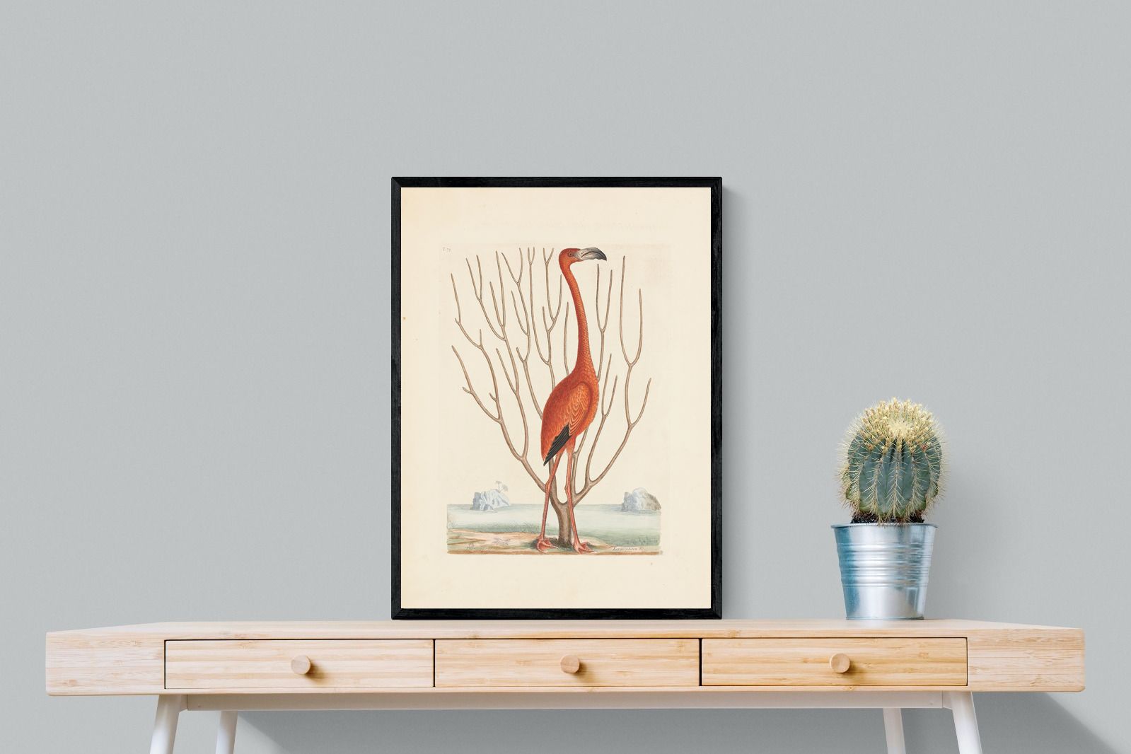 Pixalot Vintage Flamingo