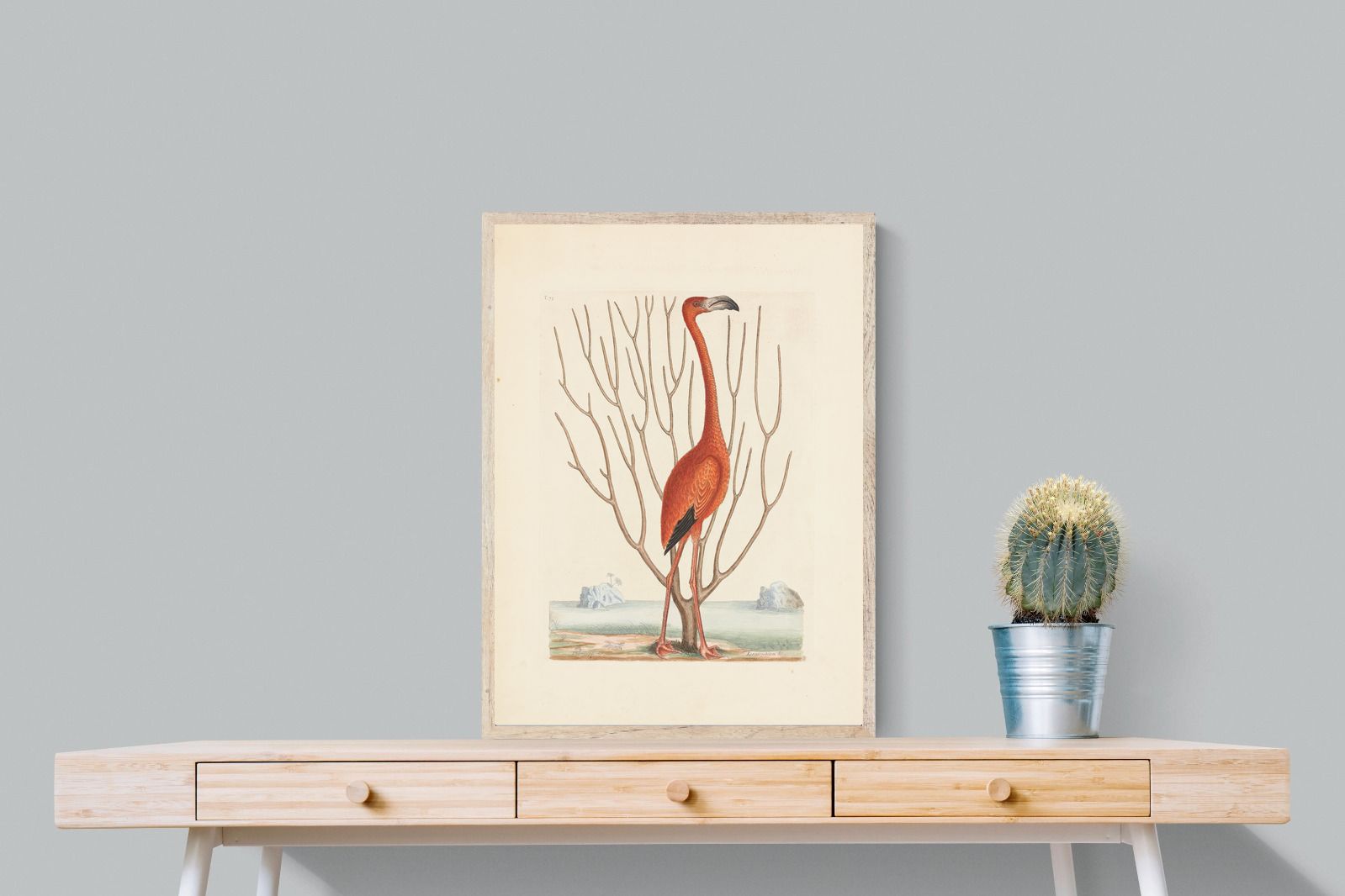 Pixalot Vintage Flamingo